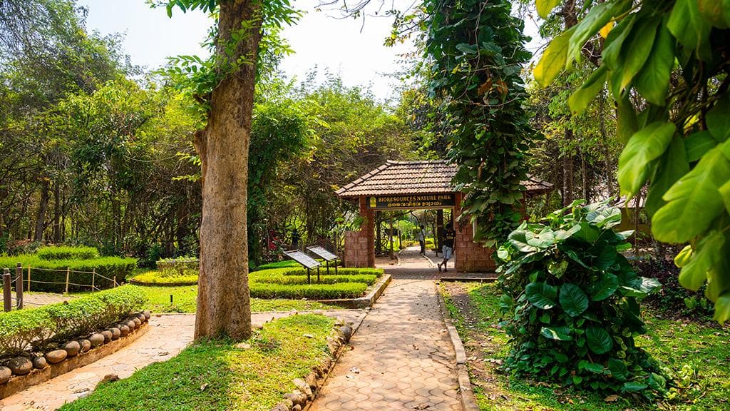Nilambur Teak Museum